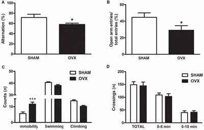 Humanin, a Mitochondrial-Derived Peptide Released by Astrocytes, Prevents Synapse Loss in Hippocampal Neurons